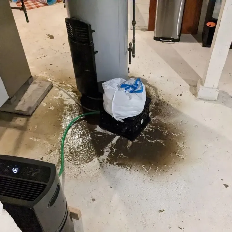 Sewage Backup Cleanup Service in Yukon-Koyukuk Census Area, AK
